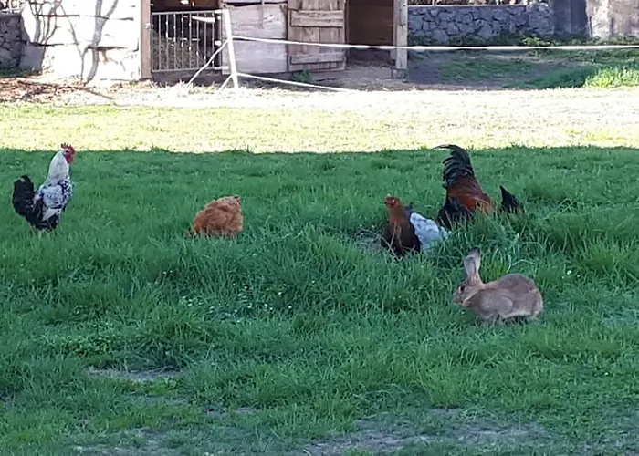 Rez De Jardin Au Coeur Des Pyrenees