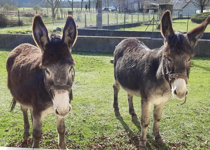 Rez De Jardin Au Coeur Des Pyrenees